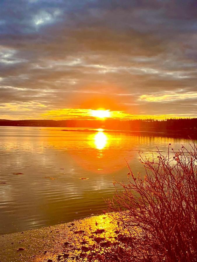 Edgewater Sunrise Apartment Chemainus Exteriér fotografie